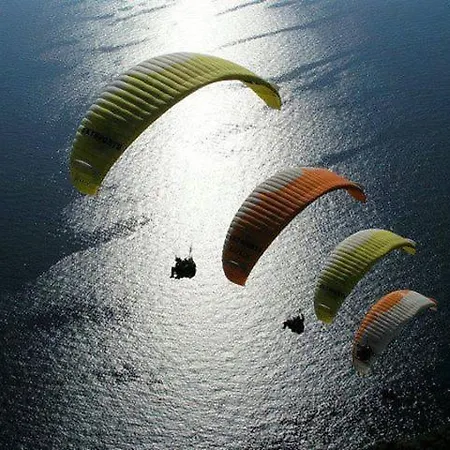 Turkuaz オルデニズ